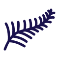 NZ owned and operated icon
