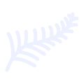 TSB 100% New Zealand-owned bank