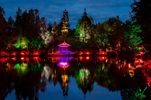 TSB Festival of Lights shining in New Plymouth’s Pukekura Park. Photo by Charlotte Curd.